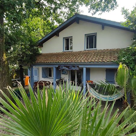 Shifting Sands Surf Camp Labenne Exterior foto